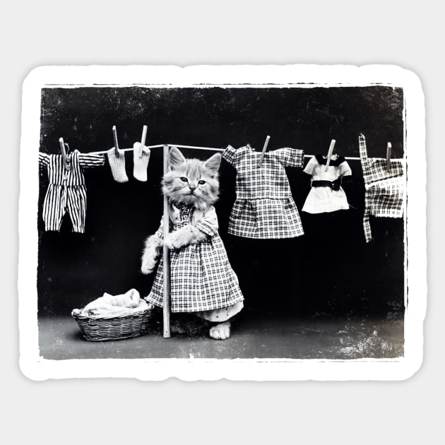 Vintage Black and White Kitty Laundry Photo Sticker by AlondraHanley